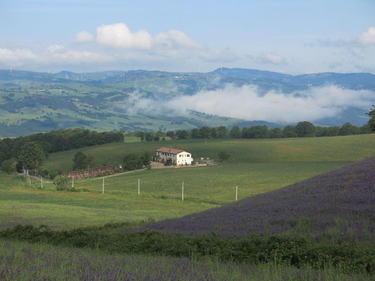 Agriturismo Il Riccio Monticchio  Extérieur photo